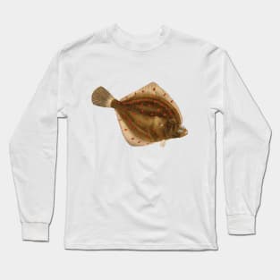 European plaice (Pleuronectes platessa) - flatfish scientific illustration. Long Sleeve T-Shirt